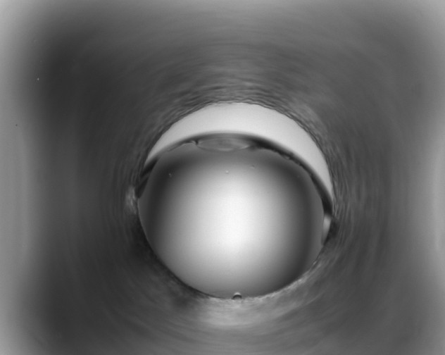 X0000088700045200706071548