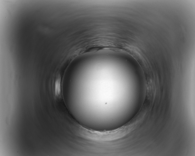X0000088700046200706071548