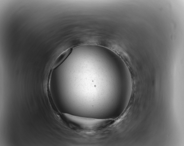 X0000088700051200706071548