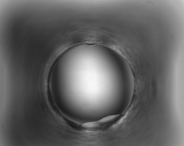 X0000088700055200706071548