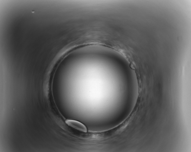 X0000088700056200706071548