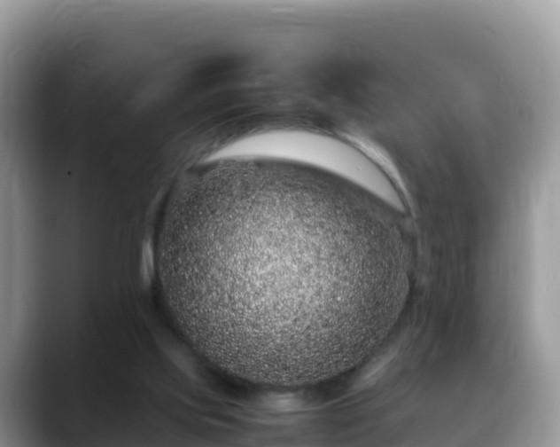 X0000088700061200706071548