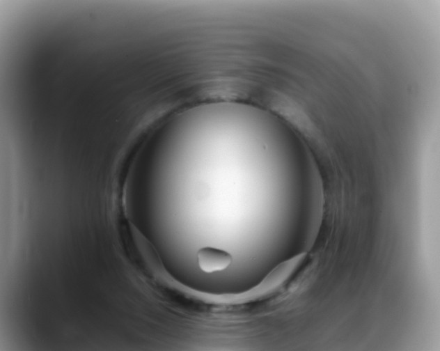 X0000088700064200706071548