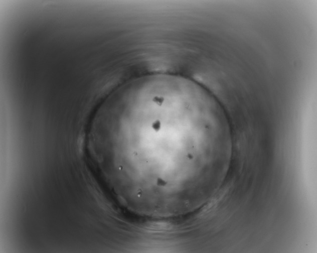 X0000088700066200706071548