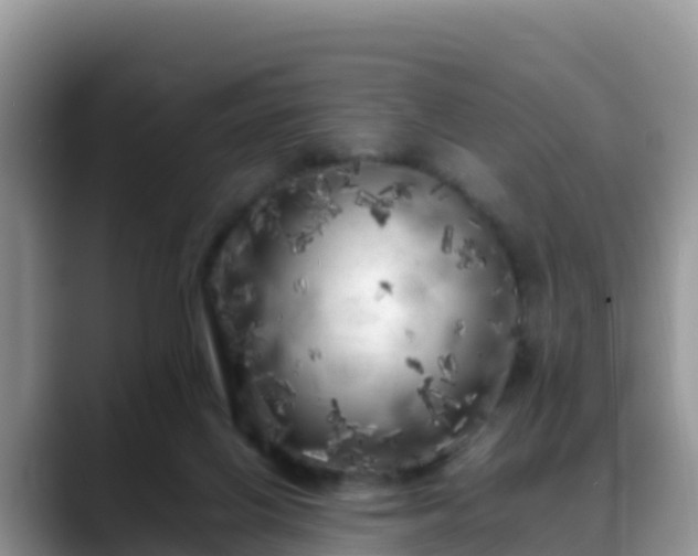 X0000088700070200706071548