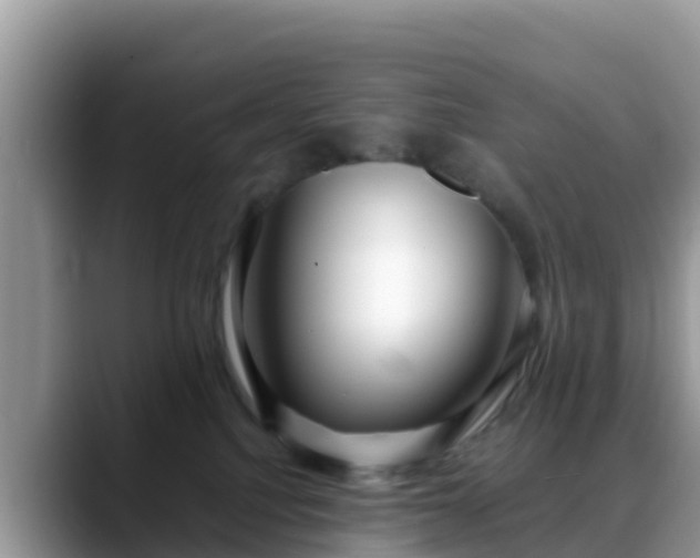 X0000088700088200706071548