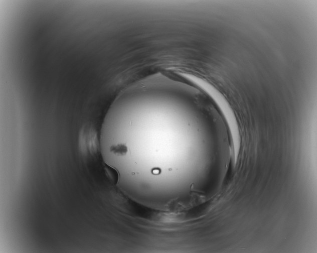 X0000088700089200706071548