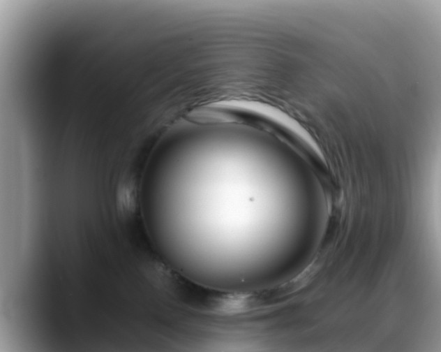 X0000088700090200706071548