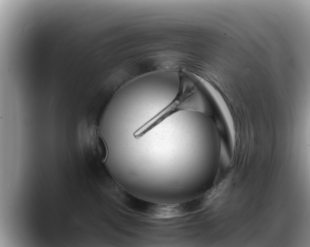 X0000088700093200706071548