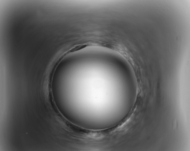 X0000088700101200706071548