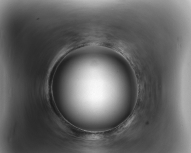 X0000088700102200706071548