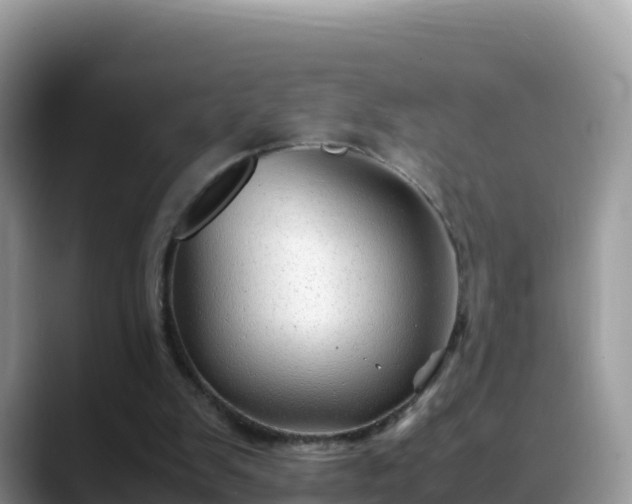 X0000088700103200706071548