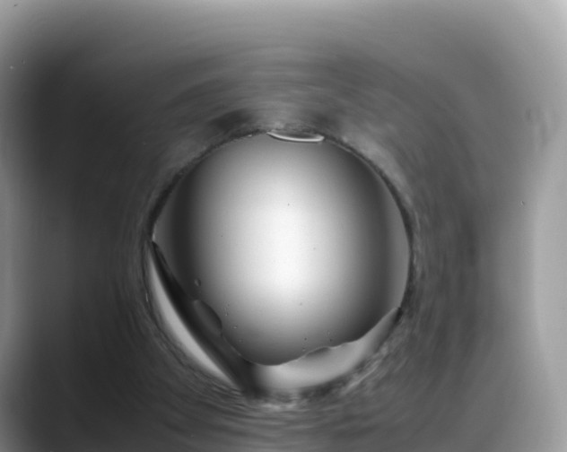 X0000088700105200706071548