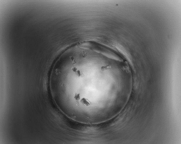 X0000088700107200706071548