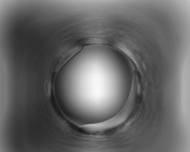 X0000088700109200706071547
