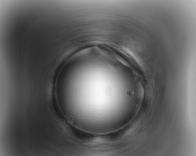 X0000088700111200706071547