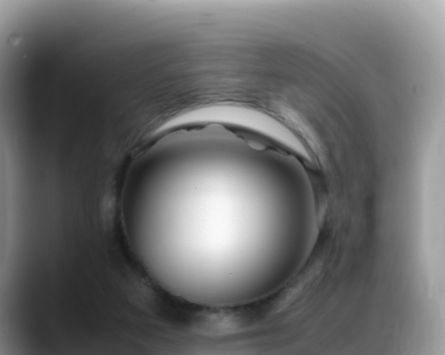 X0000088700113200706071547