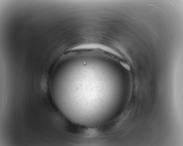 X0000088700114200706071547