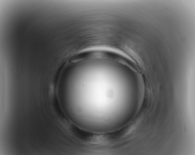 X0000088700117200706071547
