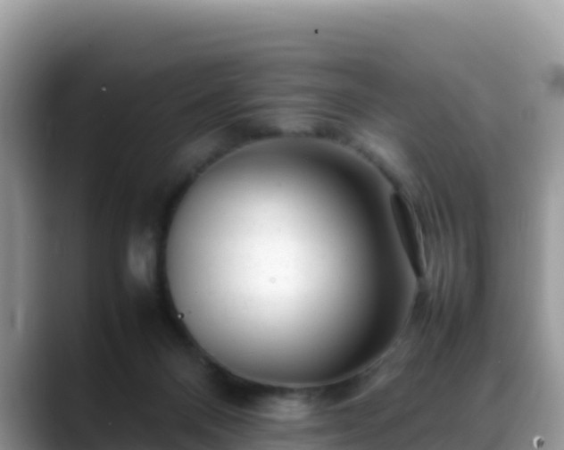 X0000088700120200706071547