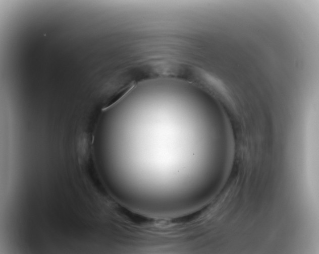 X0000088700121200706071547