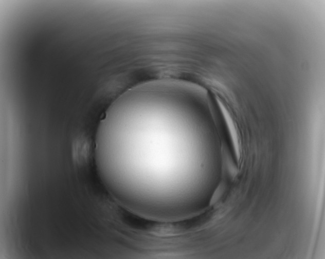 X0000088700123200706071547