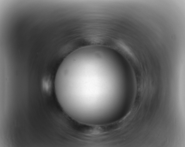 X0000088700124200706071547