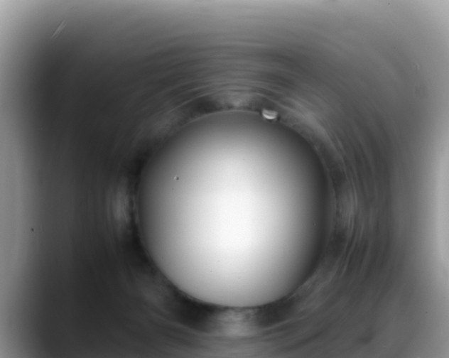 X0000088700126200706071547