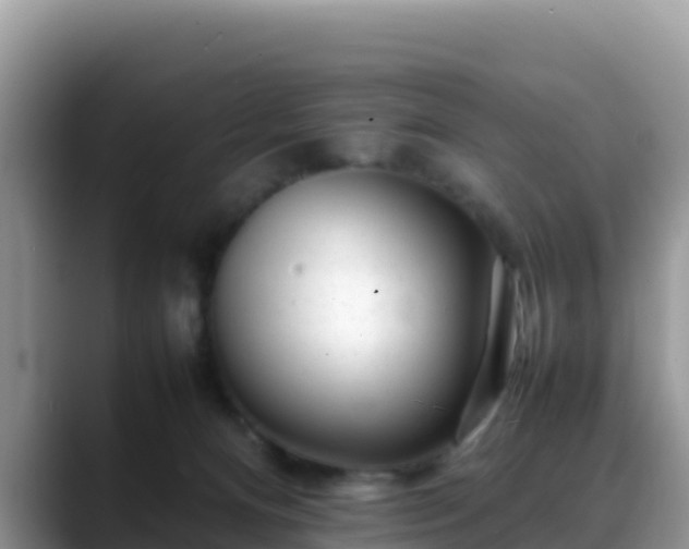 X0000088700128200706071547