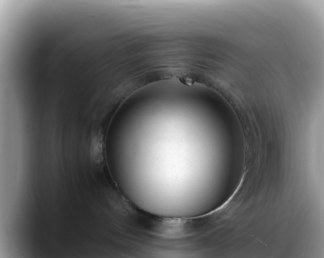 X0000088700144200706071547