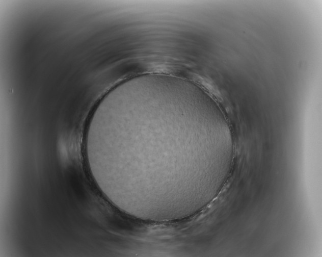 X0000088700146200706071546