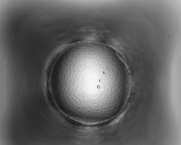 X0000088700149200706071546