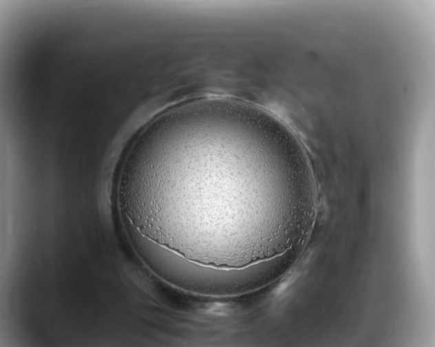 X0000088700151200706071546