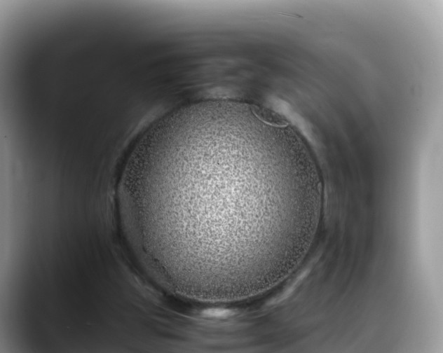 X0000088700153200706071547