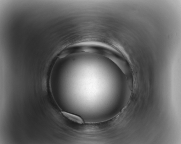 X0000088700154200706071547