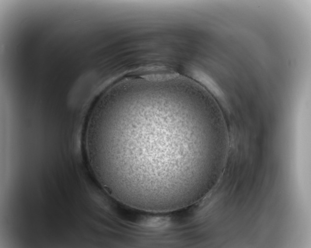 X0000088700155200706071547