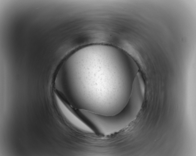 X0000088700156200706071547