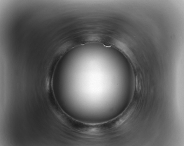 X0000088700157200706071547