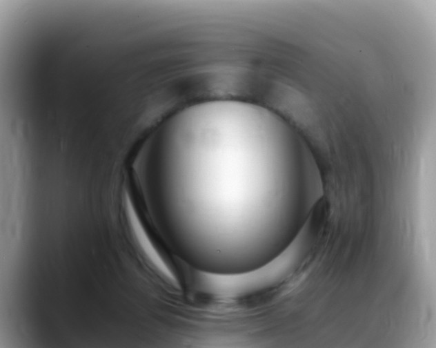 X0000088700164200706071547