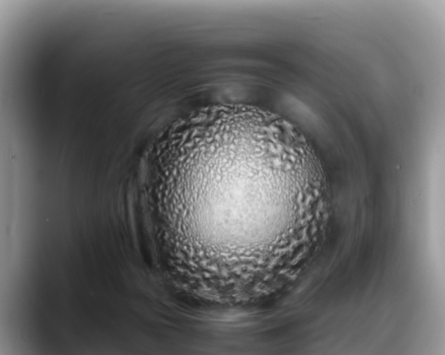 X0000088700169200706071547