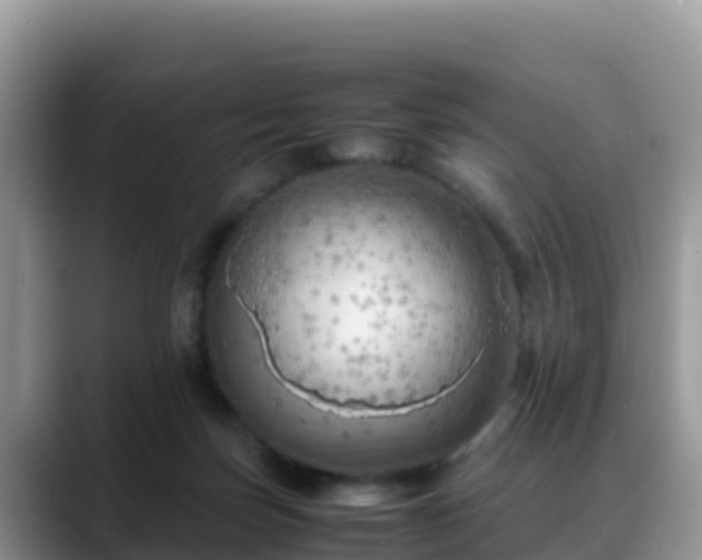 X0000088700171200706071547