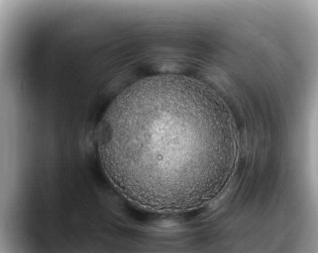 X0000088700175200706071547