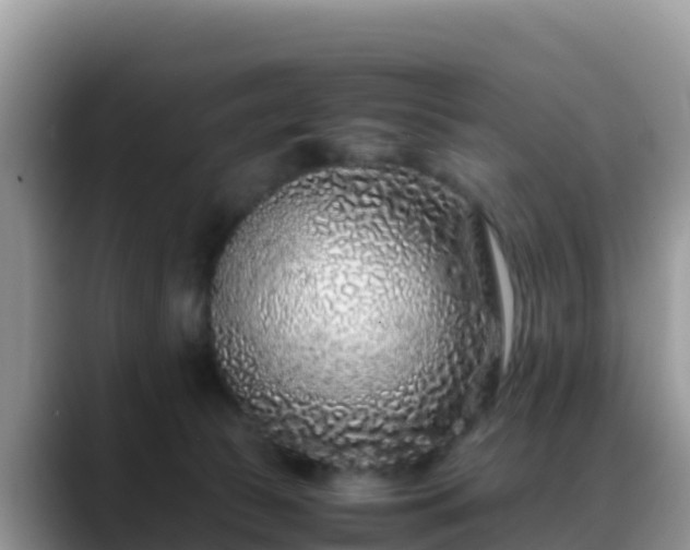X0000088700177200706071547