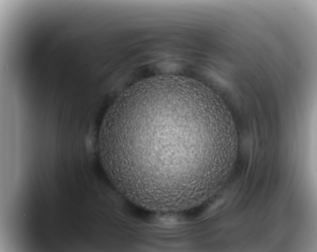 X0000088700181200706071547