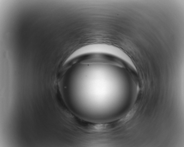 X0000088700184200706071547