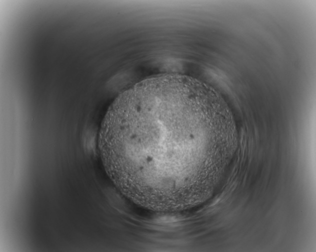 X0000088700185200706071547