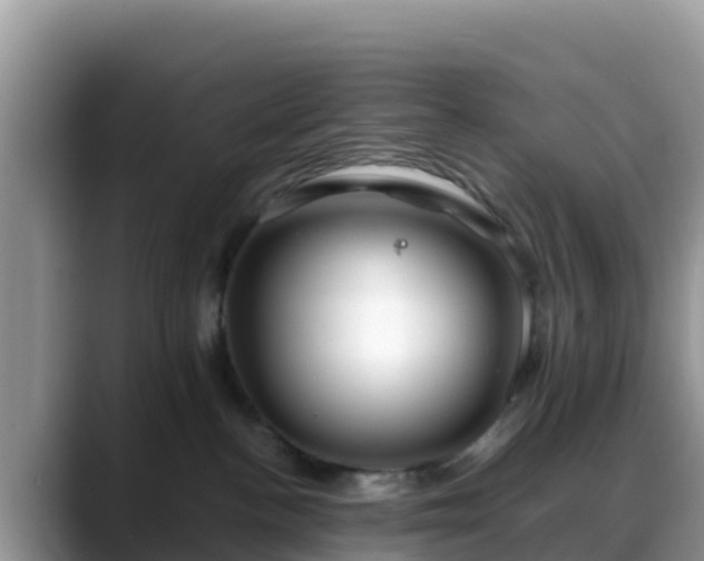 X0000088700188200706071547
