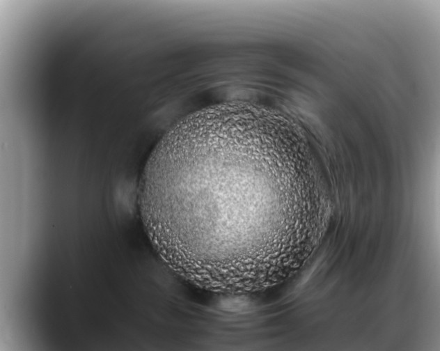 X0000088700189200706071547