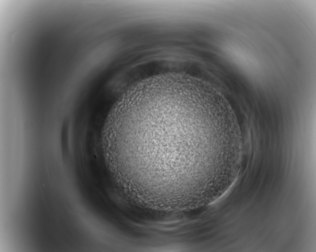 X0000088700191200706071547