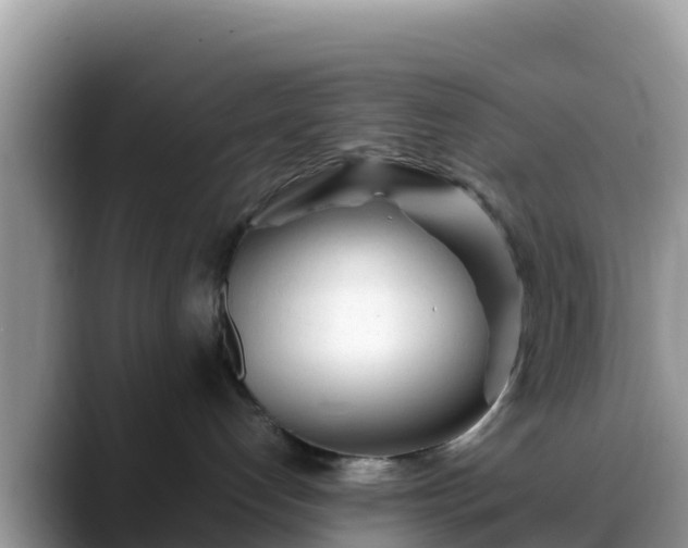X0000088700192200706071547
